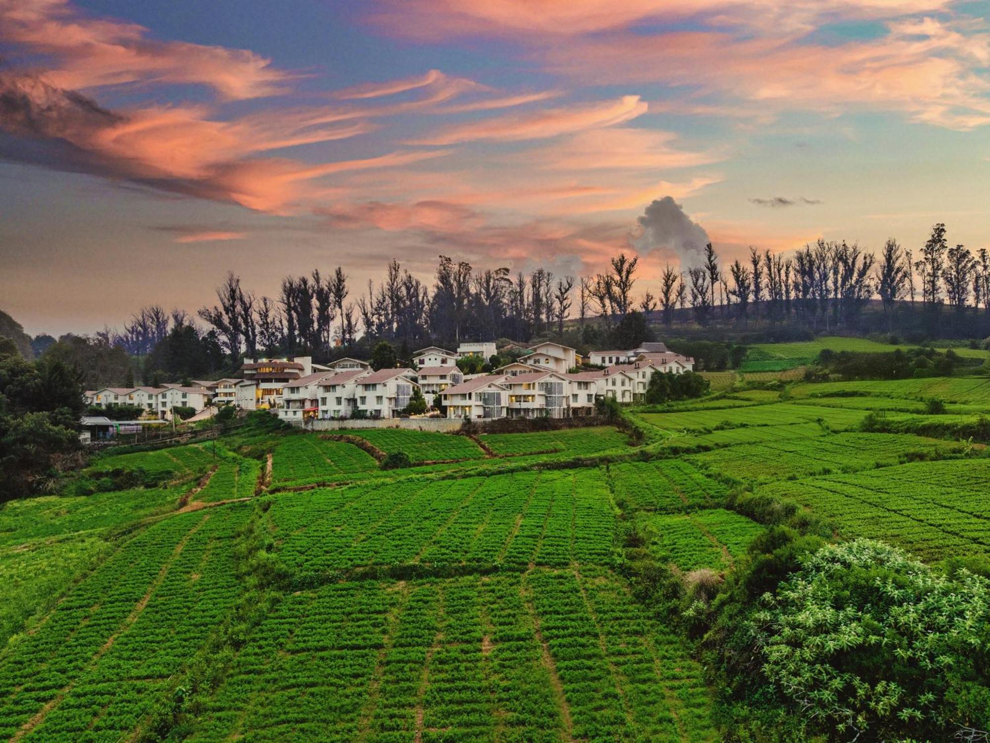 Mango Hill Shola Ooty Hotel Luaran gambar